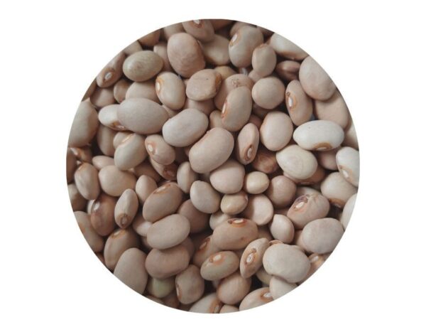 Rajma Kaju 500g