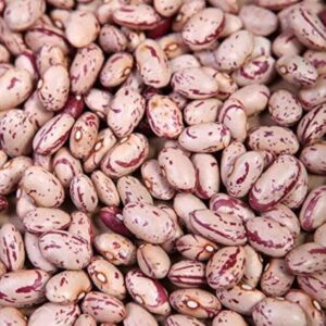 Rajma Chitra 1Kg