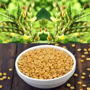 Arhar Dal 1kg